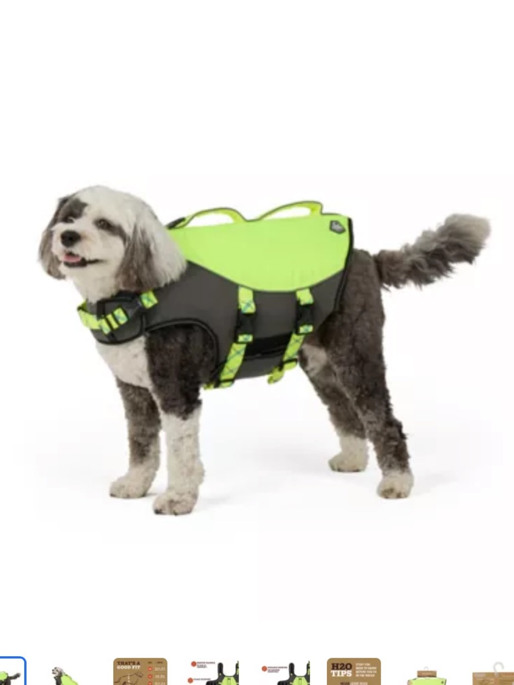 Arcadia Trail Lime Green and Black Dog Life Jacket with Handle